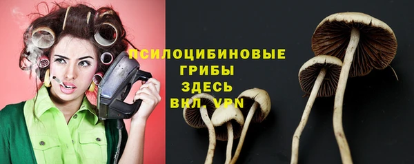 герыч Богородск