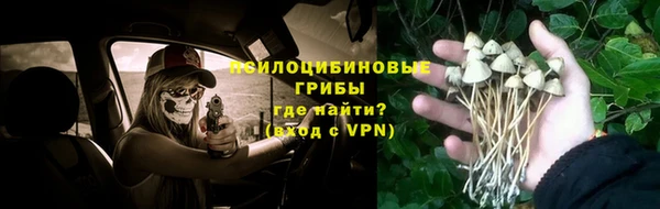 меф Богородицк