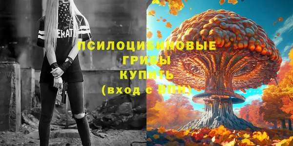 герыч Богородск