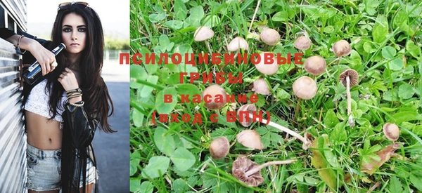прущая мука Богданович