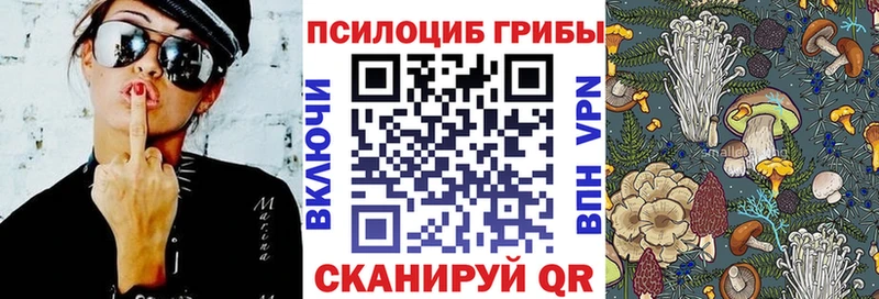Псилоцибиновые грибы Psilocybine cubensis  ссылка на мегу ТОР  Дедовск 